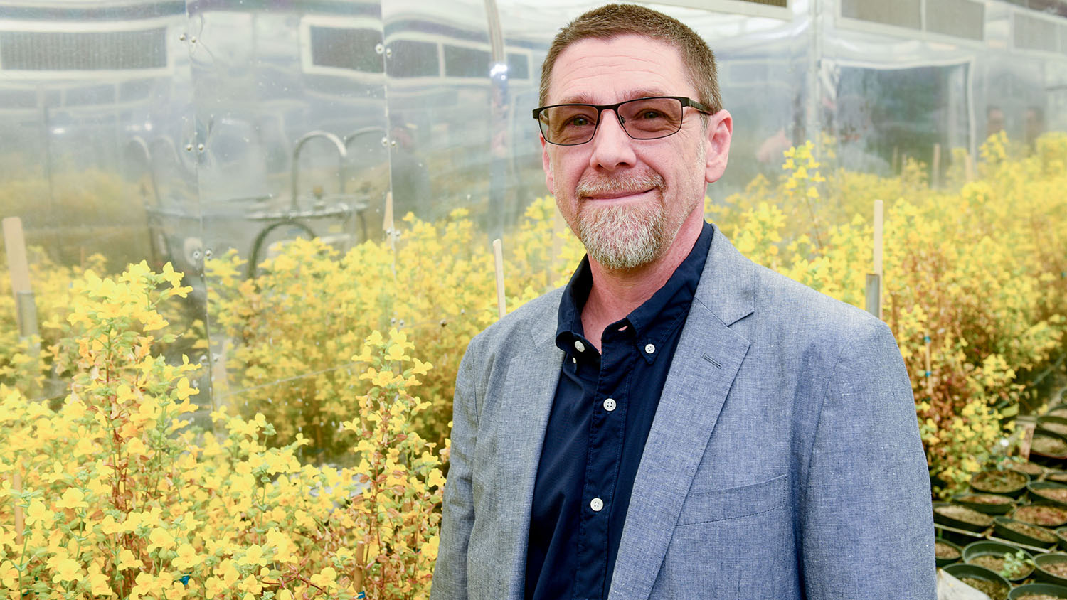 Image of person in the Phytotron, a controlled environment facility