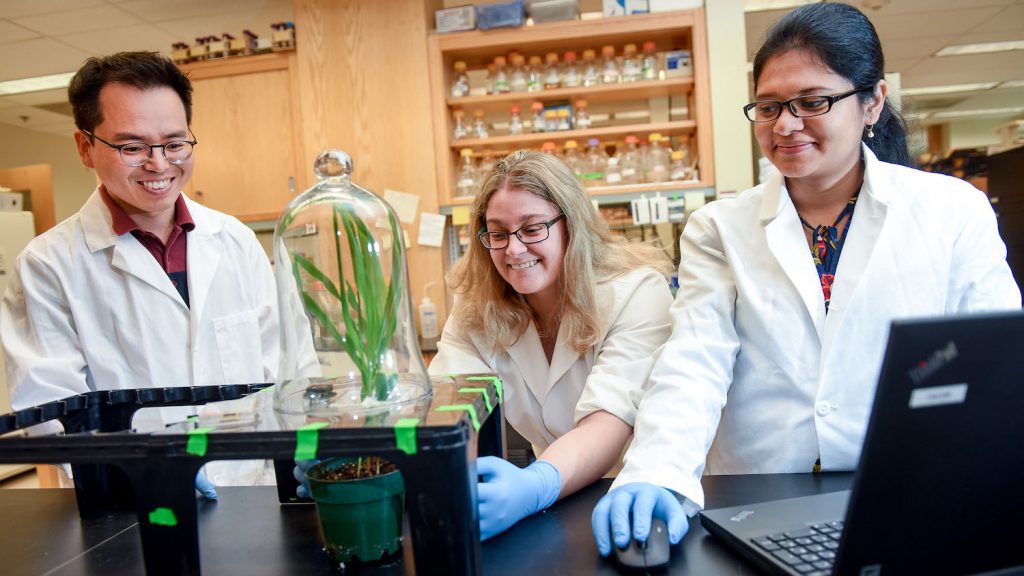 Three researchers at a table with a computer and a plant.