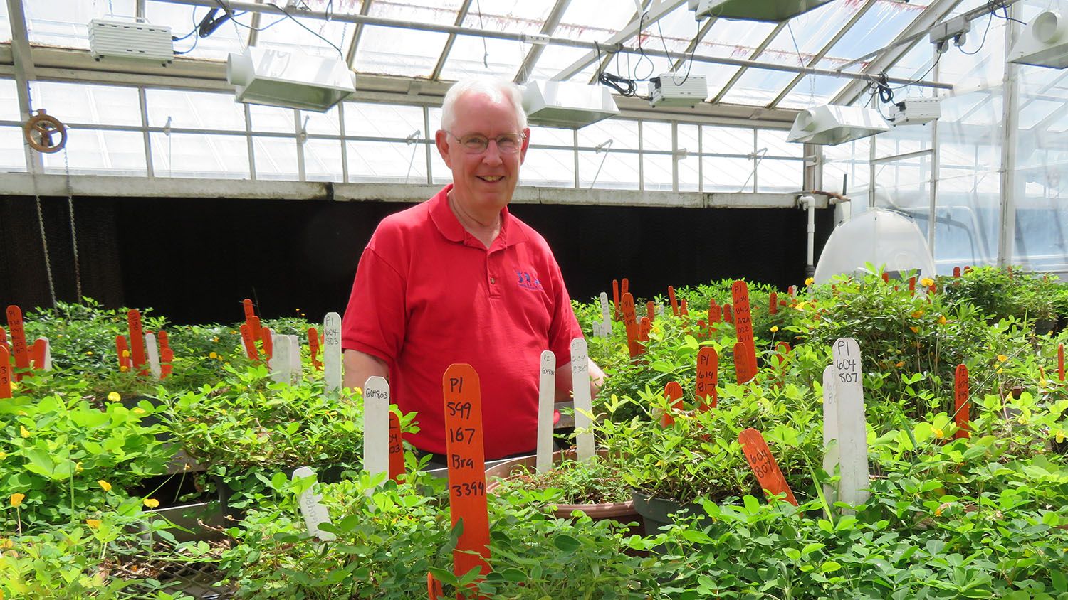 Scientist surrounded by plants in a greenhouse