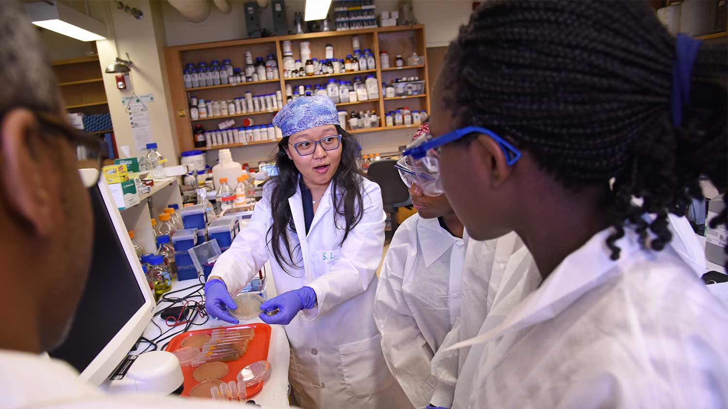 Young students working in a lab