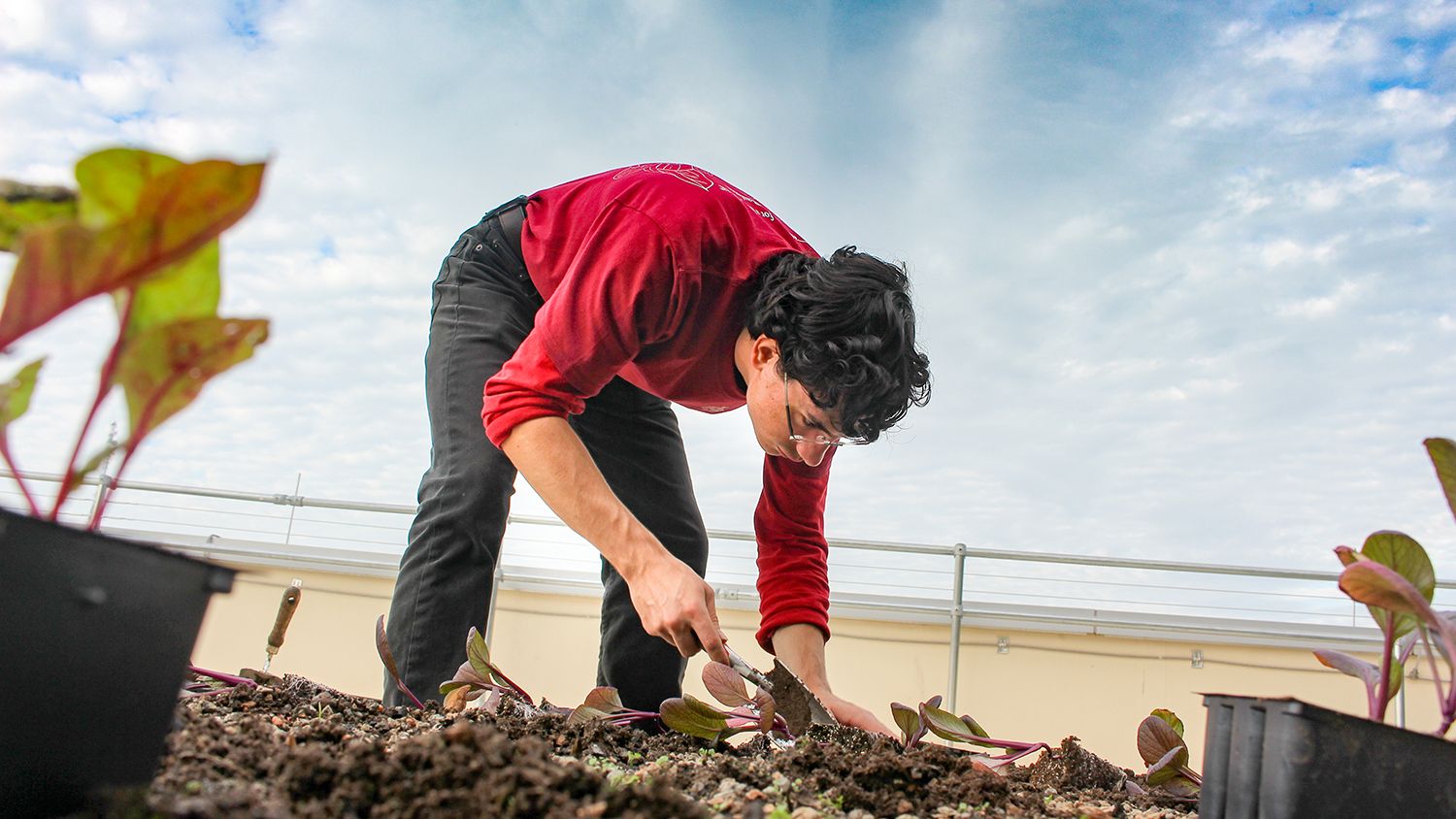 Student with trowel helps renovate the garden on the Talley Student Union's roof.