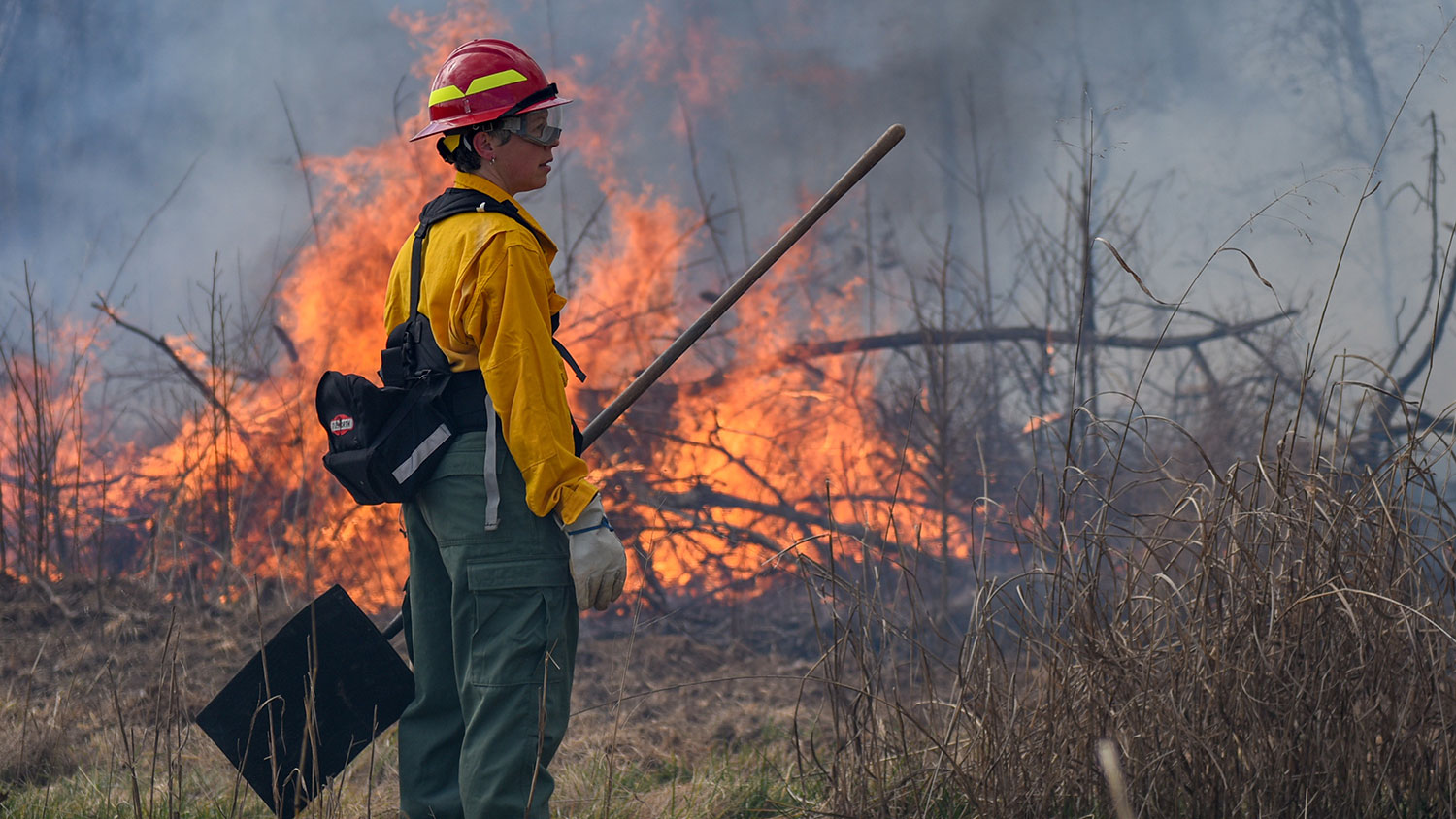 Woman in protective gear and holding a shovel looks at fire and smoke from a controlled burn.