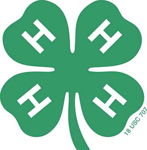 Four leaf clover with 4 Hs