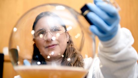 CALS BAE nontraditional student Alison Deviney gazes through a large, round glass beaker while wearing blue gloves and safety goggles.