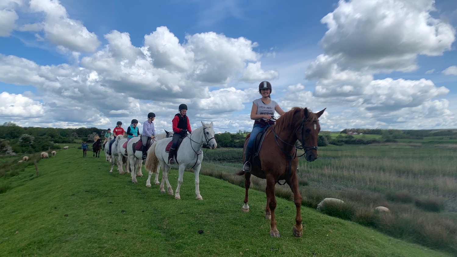 Students on horseback