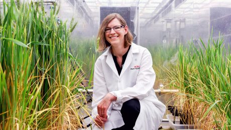 Photo of Amy Grunden in NC State's Phytotron.