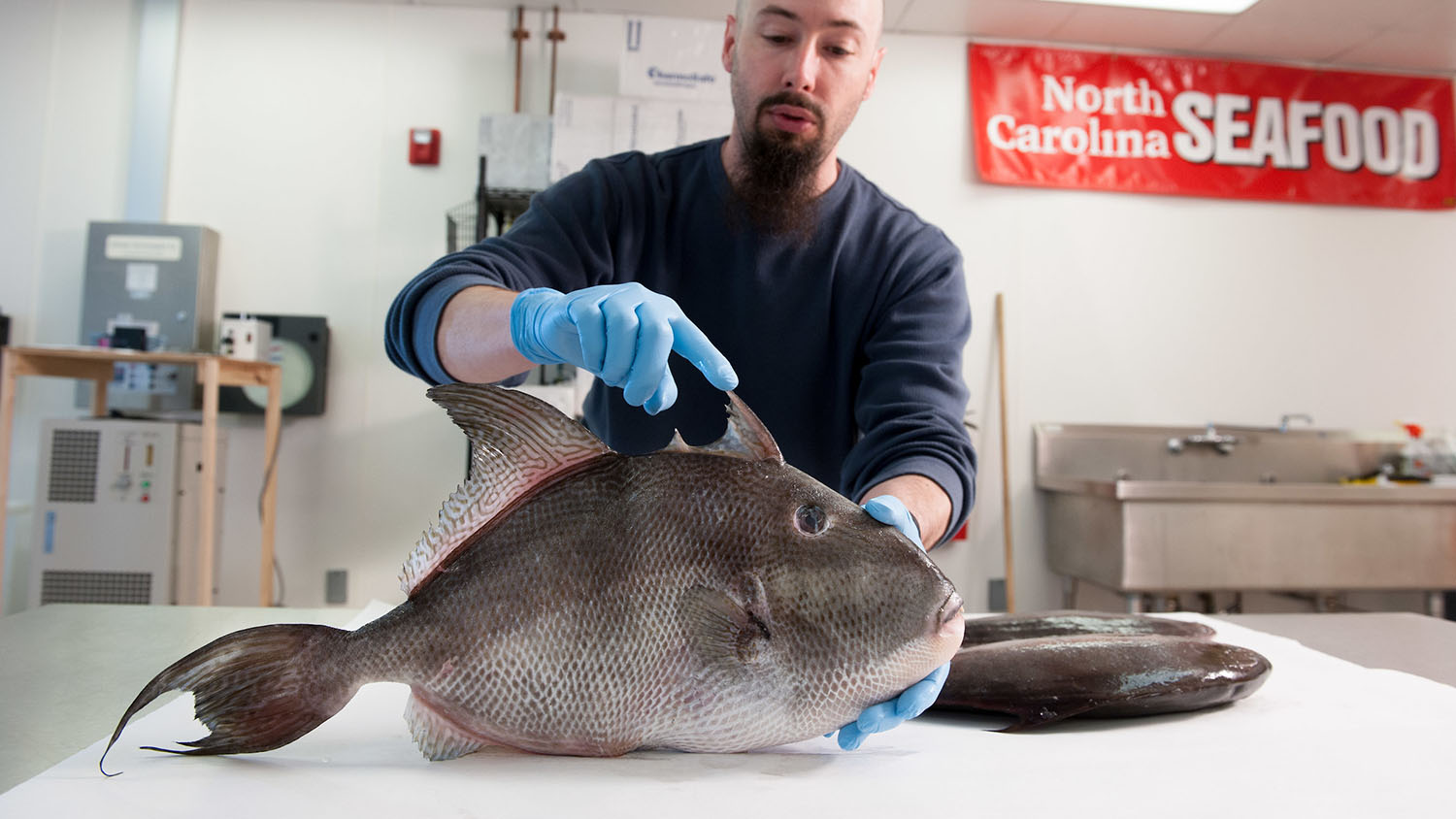 CMAST researcher holds a big, pretty fish.