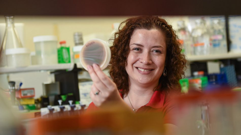 Lina Quesada in the pathology lab