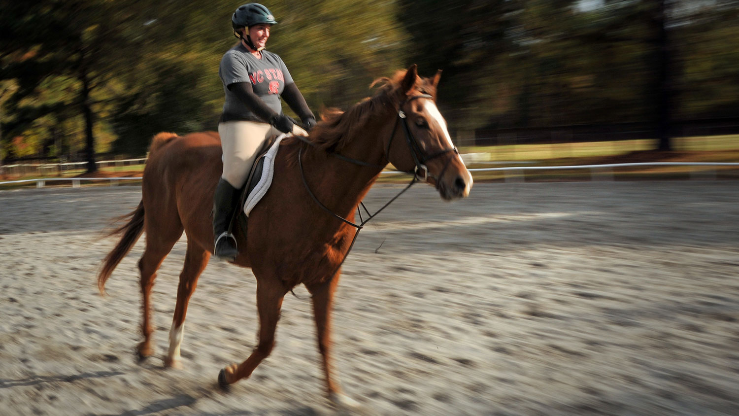 Woman wearing helmut on brown horse