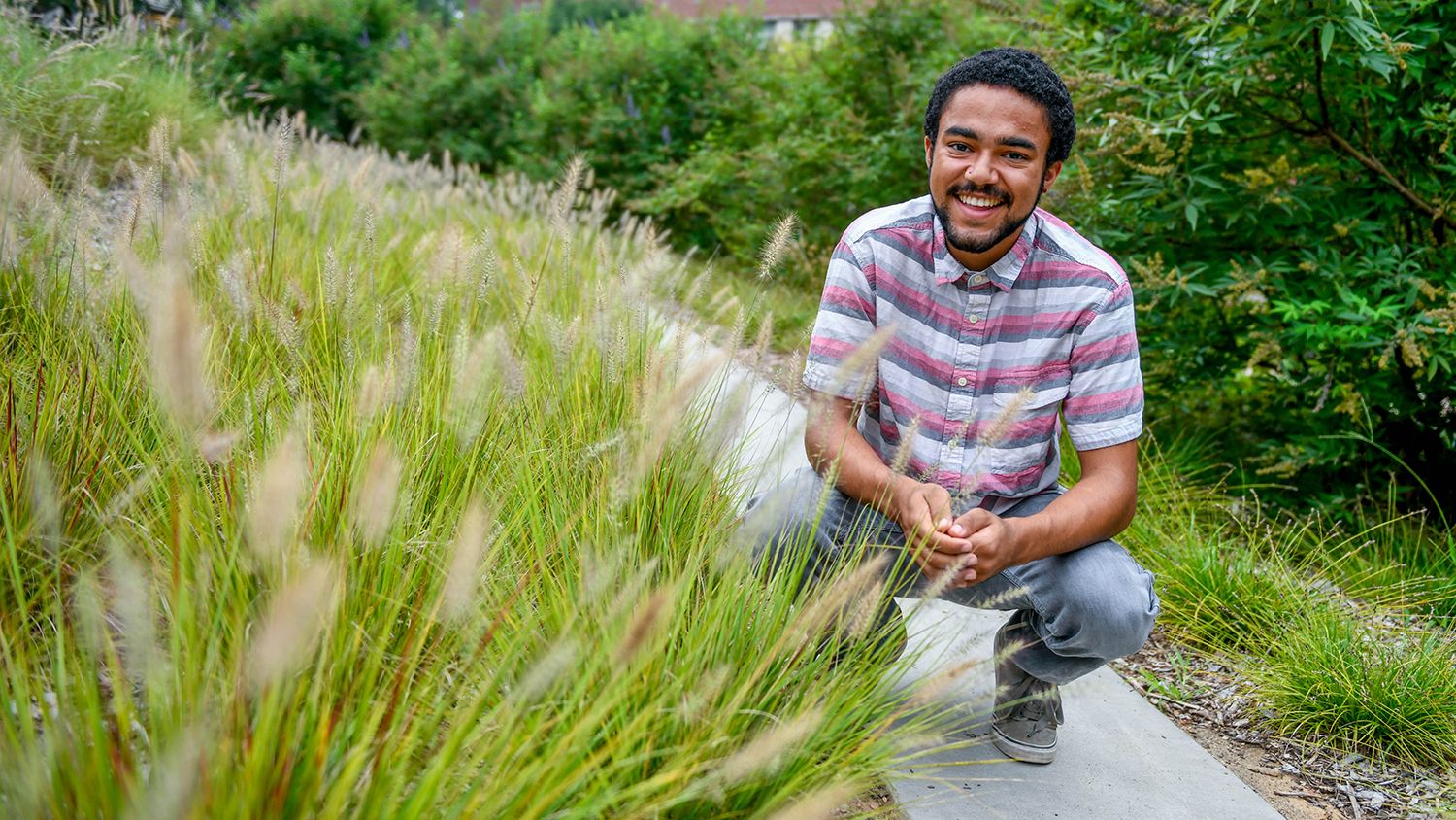 Student on a paved path, squatting down near ornamental grass.