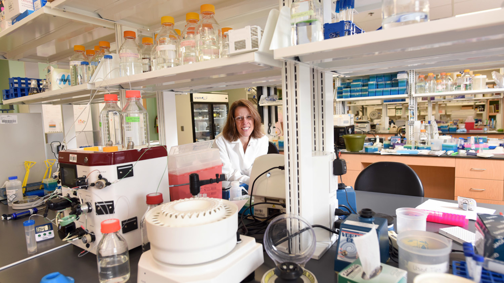 Molecular and Structural Biochemistry Department Head Melanie Simpson