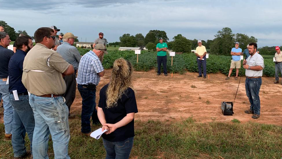 Man in a farm field talking to people at a field day