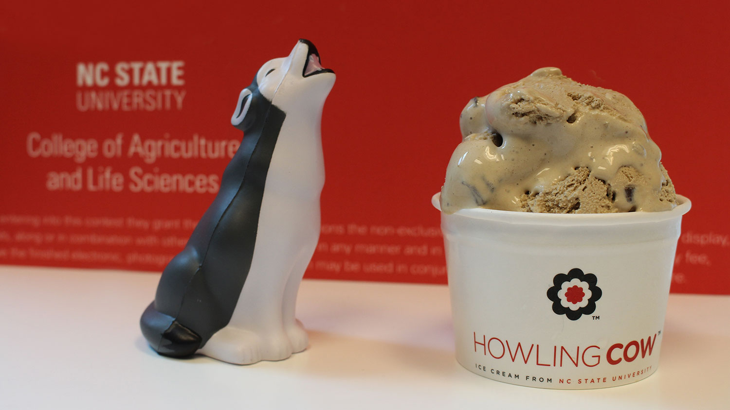 Wolf shaped stress toy next to a cup of ice cream