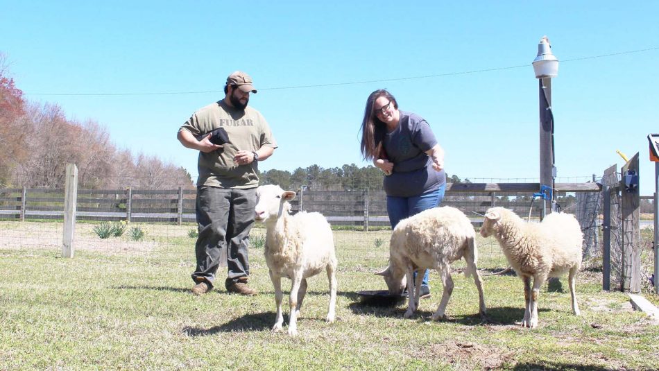 Two farmers with three sheep.