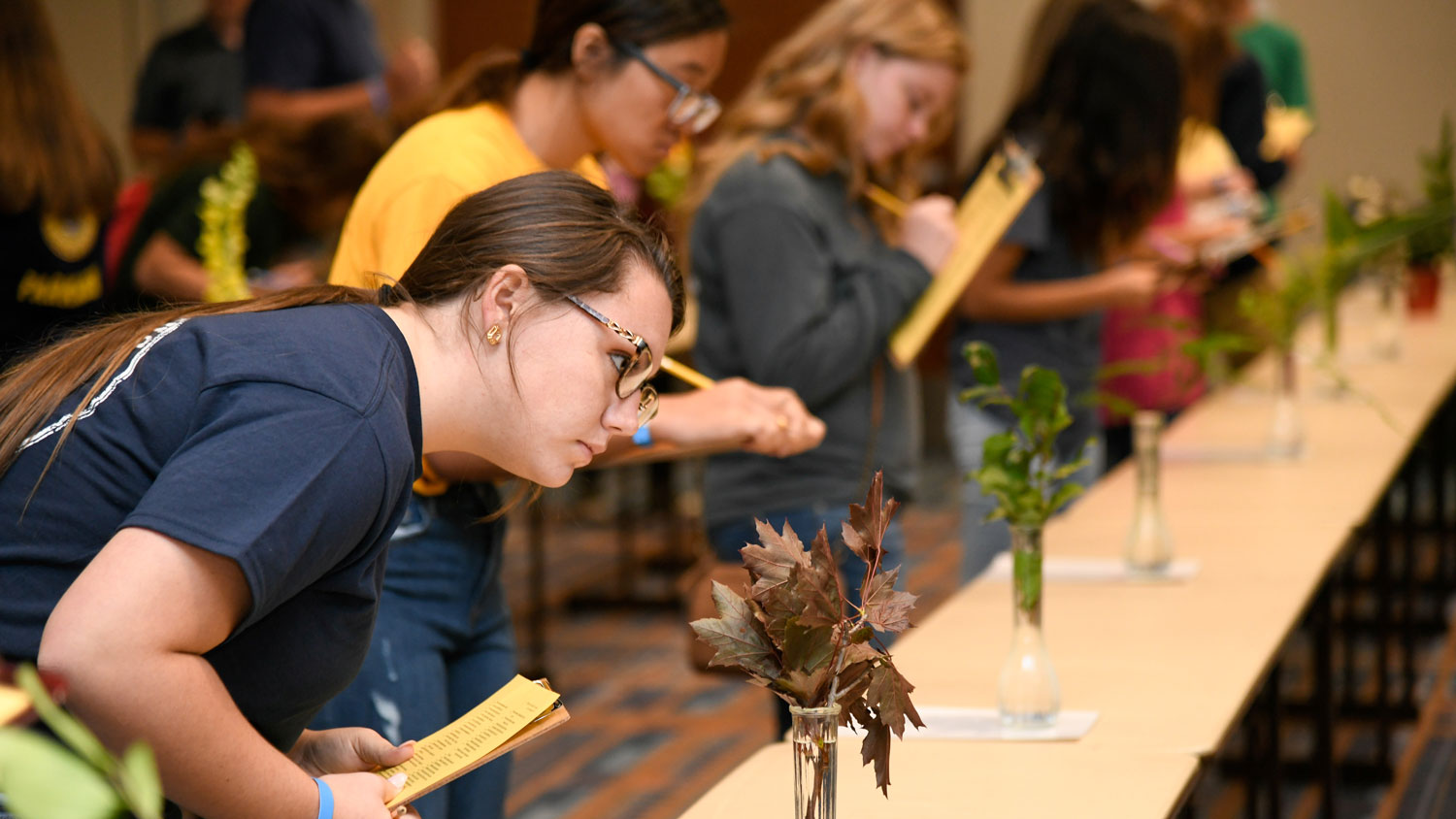 Young woman judging an FFA event