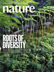 Cover of the October 31 Issue of Nature magazine