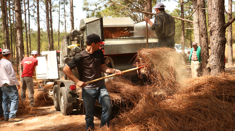 Men showing how their pine bine machine works.