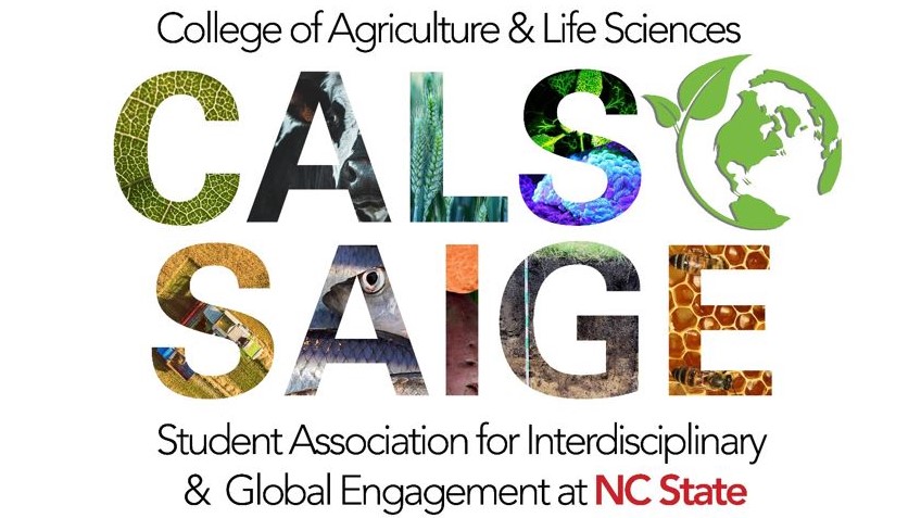 CALS SAIGE logo