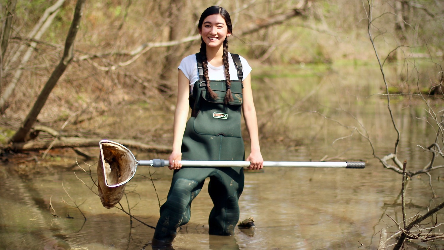 A young woman wearing waters stands in a pond holding a net.