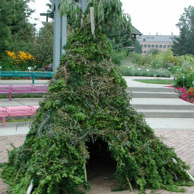 A teepee-shaped structure built of sticks and other plant material, including leafy branches and ivy.