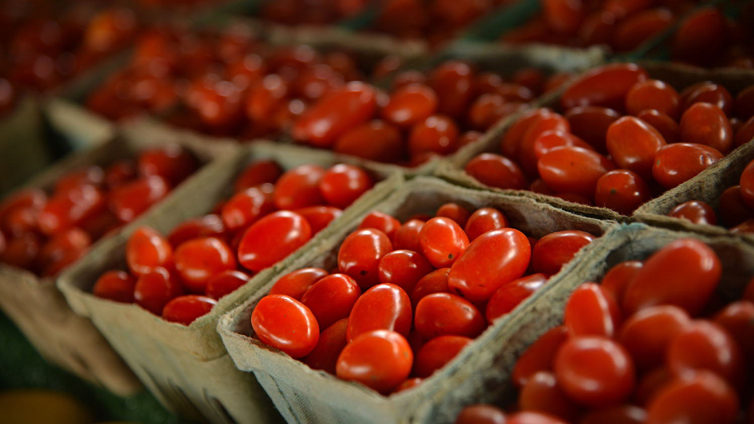 Cherry tomatoes