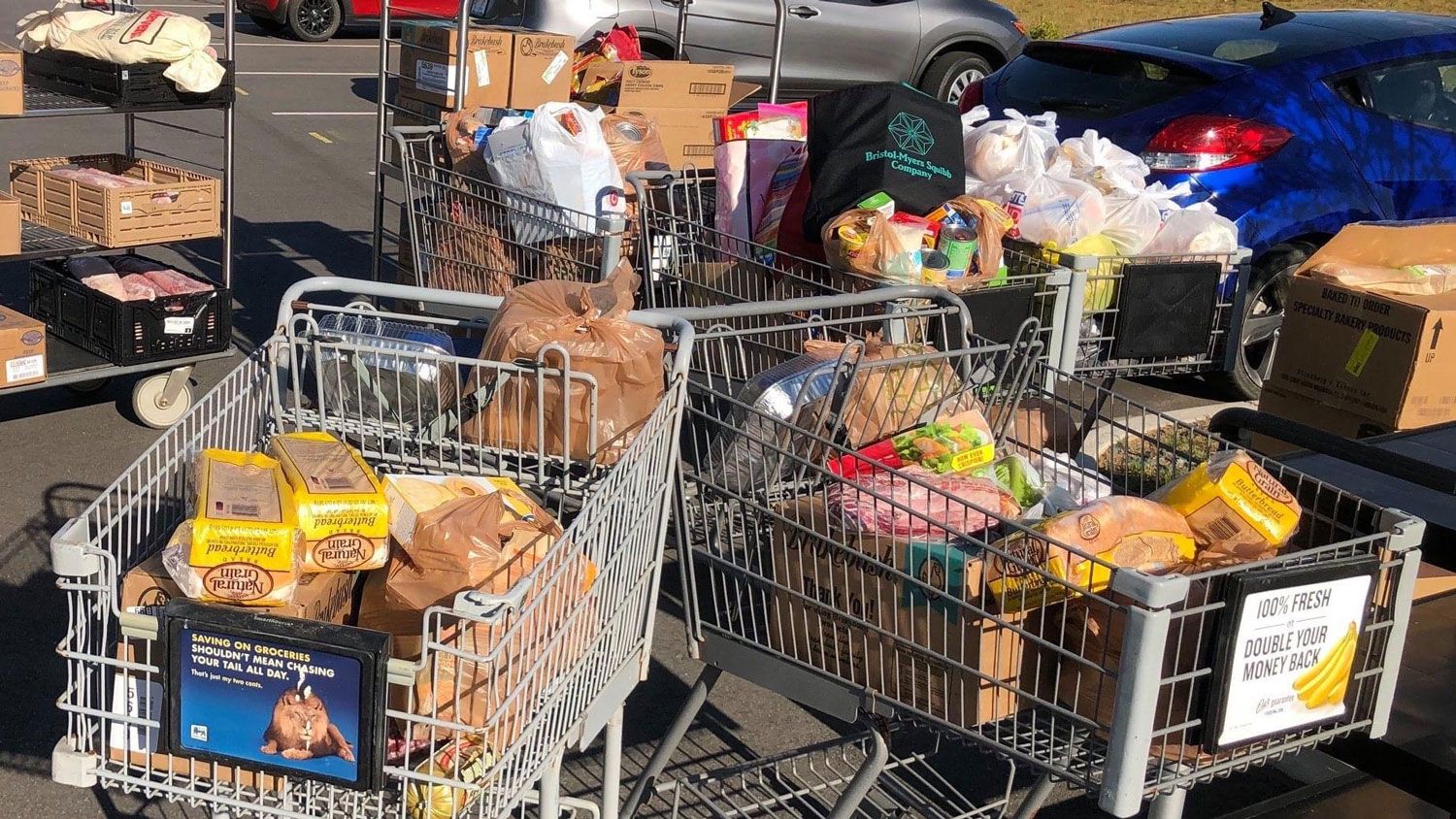 A bunch of groceries in grocery carts 