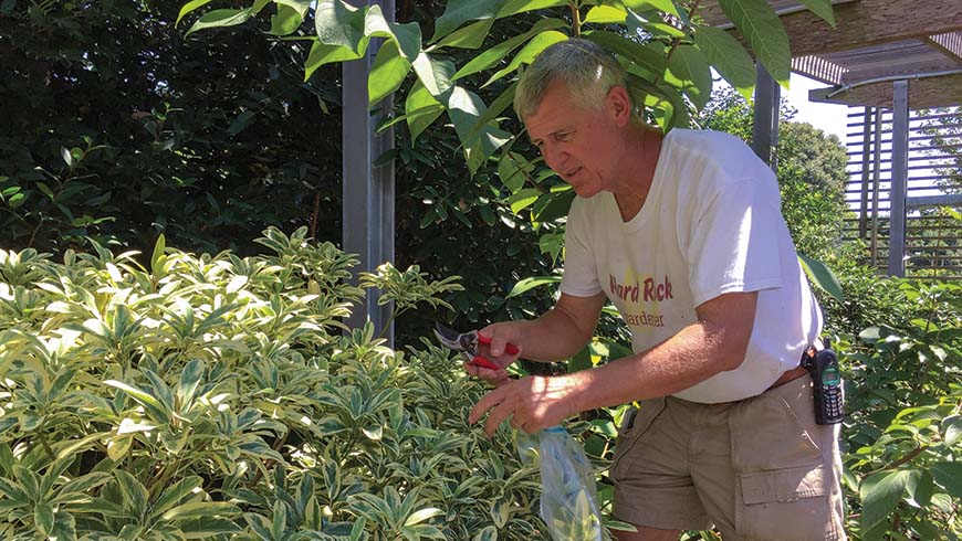 AN older gentleman gardening in a nursery