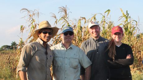 Jim Holland and other corn researchers in front of a field of dry corn