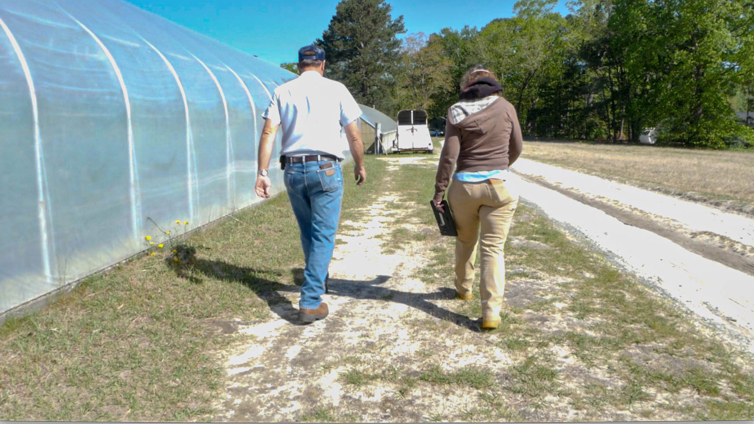 Two people walking on a farm