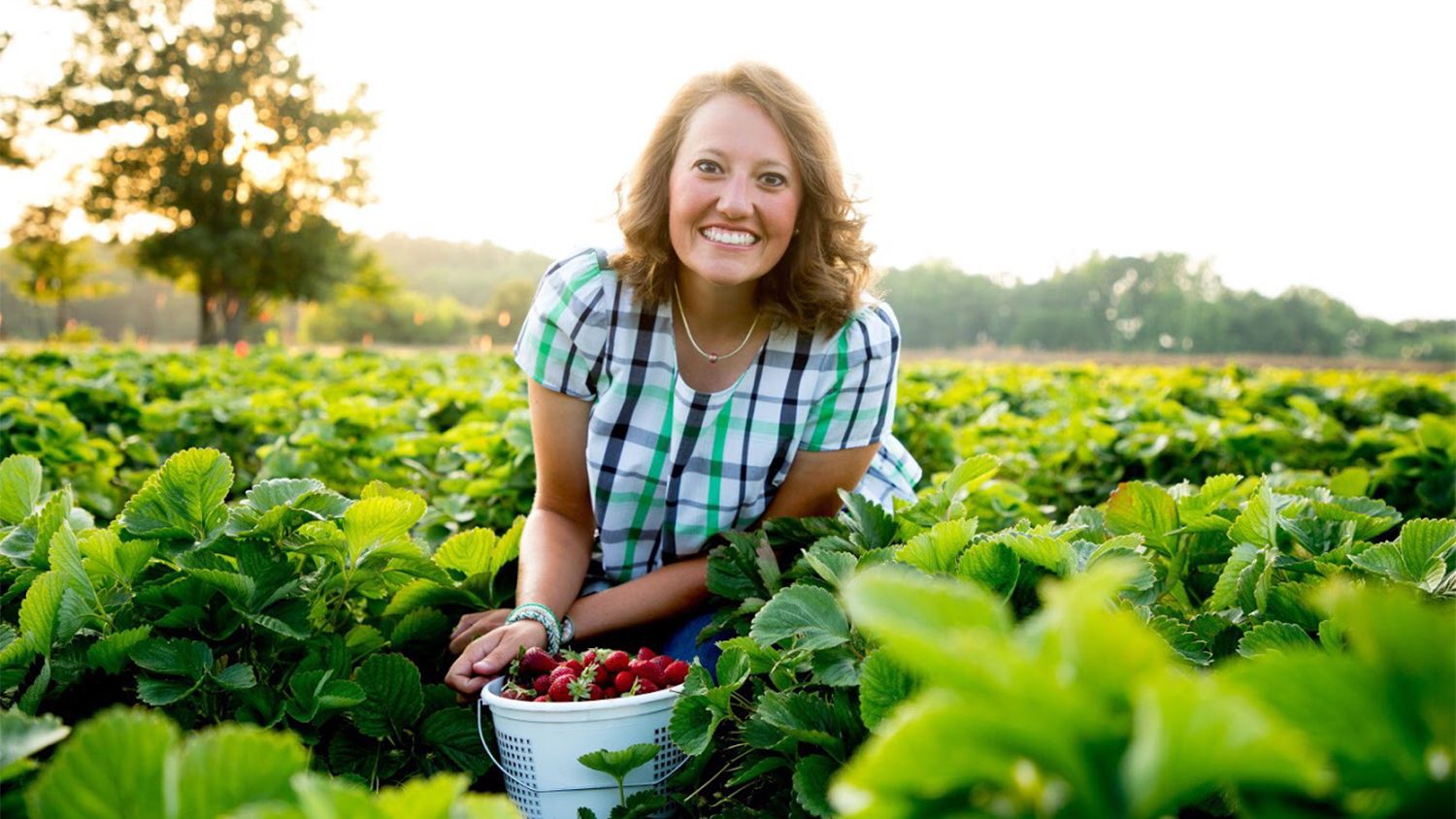 A young woman in a strawberry field with a bucket of strawberries