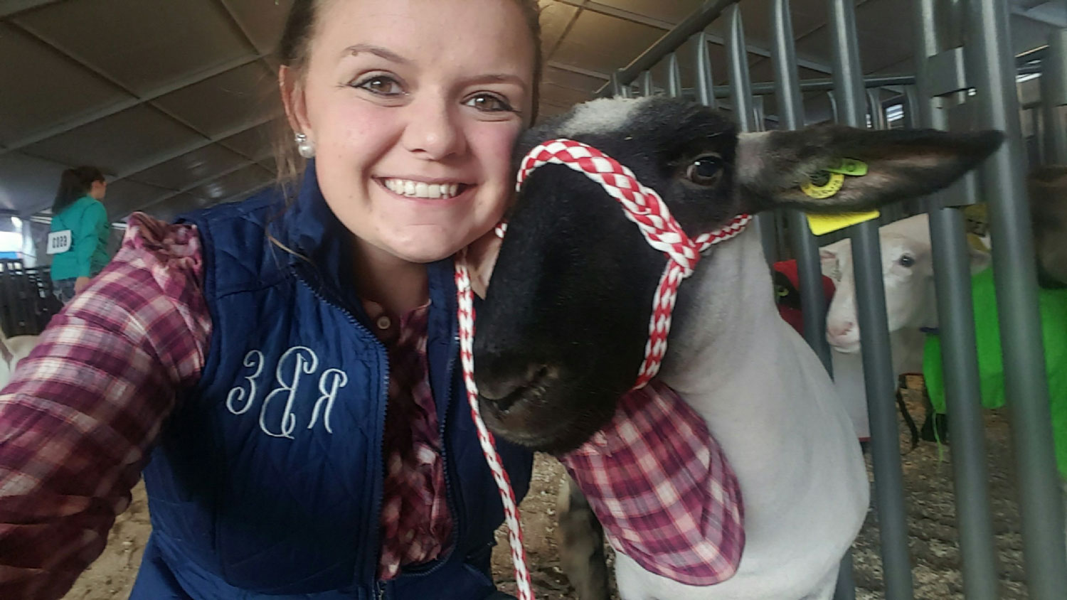 Rachel Brown face-to-face with one of her sheep.