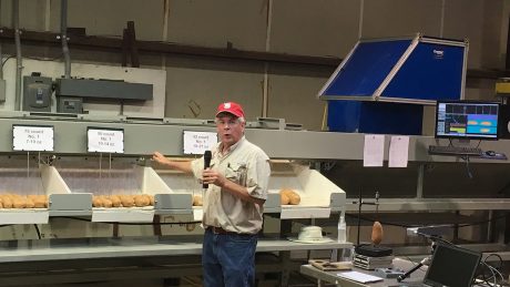 Craig Yencho with a sweetpotato sorter at Horticultural Crops Research Station in Clinton.