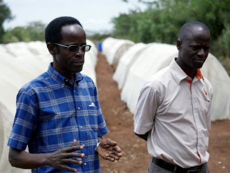 NC State graduate Robert Mwanga (left) on a research farm outside Kampala, Uganda.