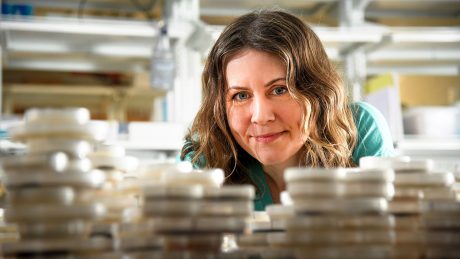 Christine Hawkes surrounded by Petri plates.