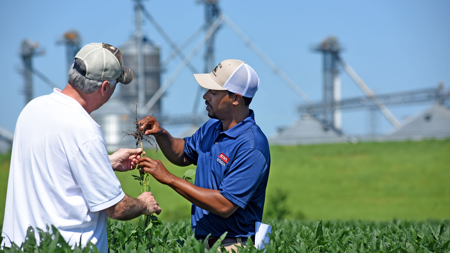 Extension agent and farmer in a farm field.