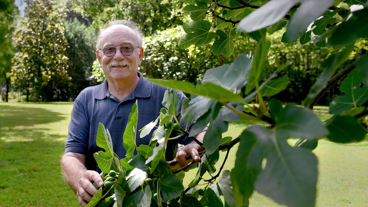 Man holding a fig branch