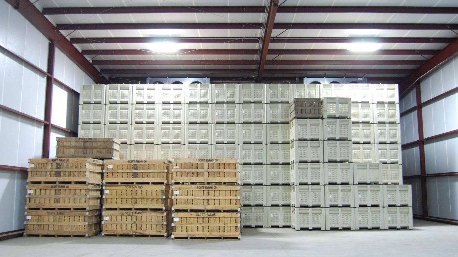 Large warehouse space with bins lined from wall to wall and floor to ceiling
