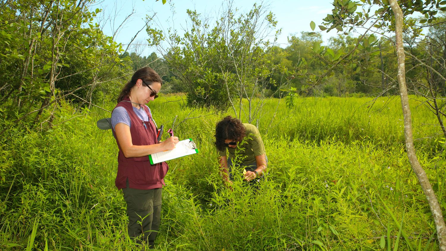 Two women conducting field work.