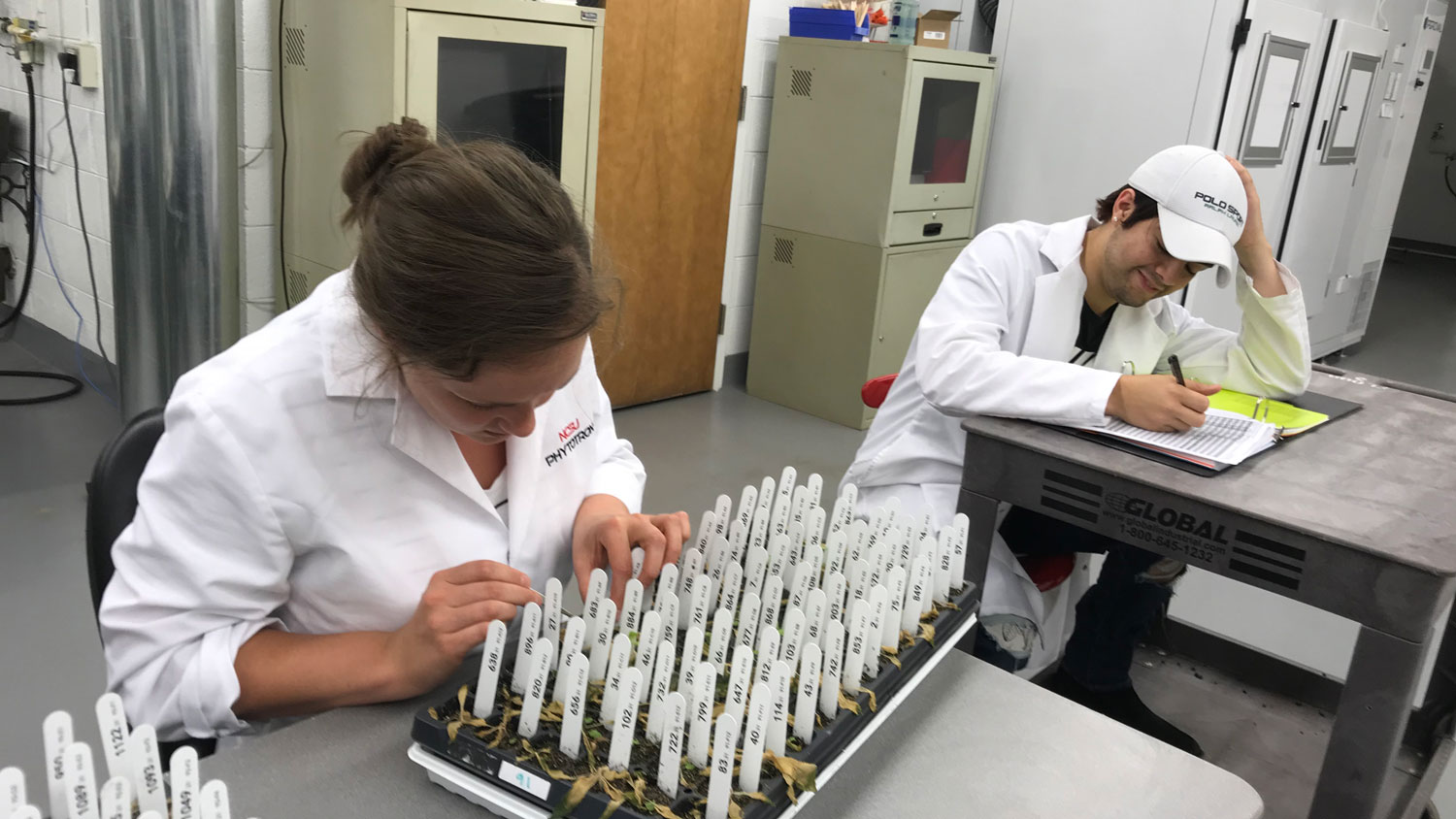 Two people in white coats sitting and working in a lab.