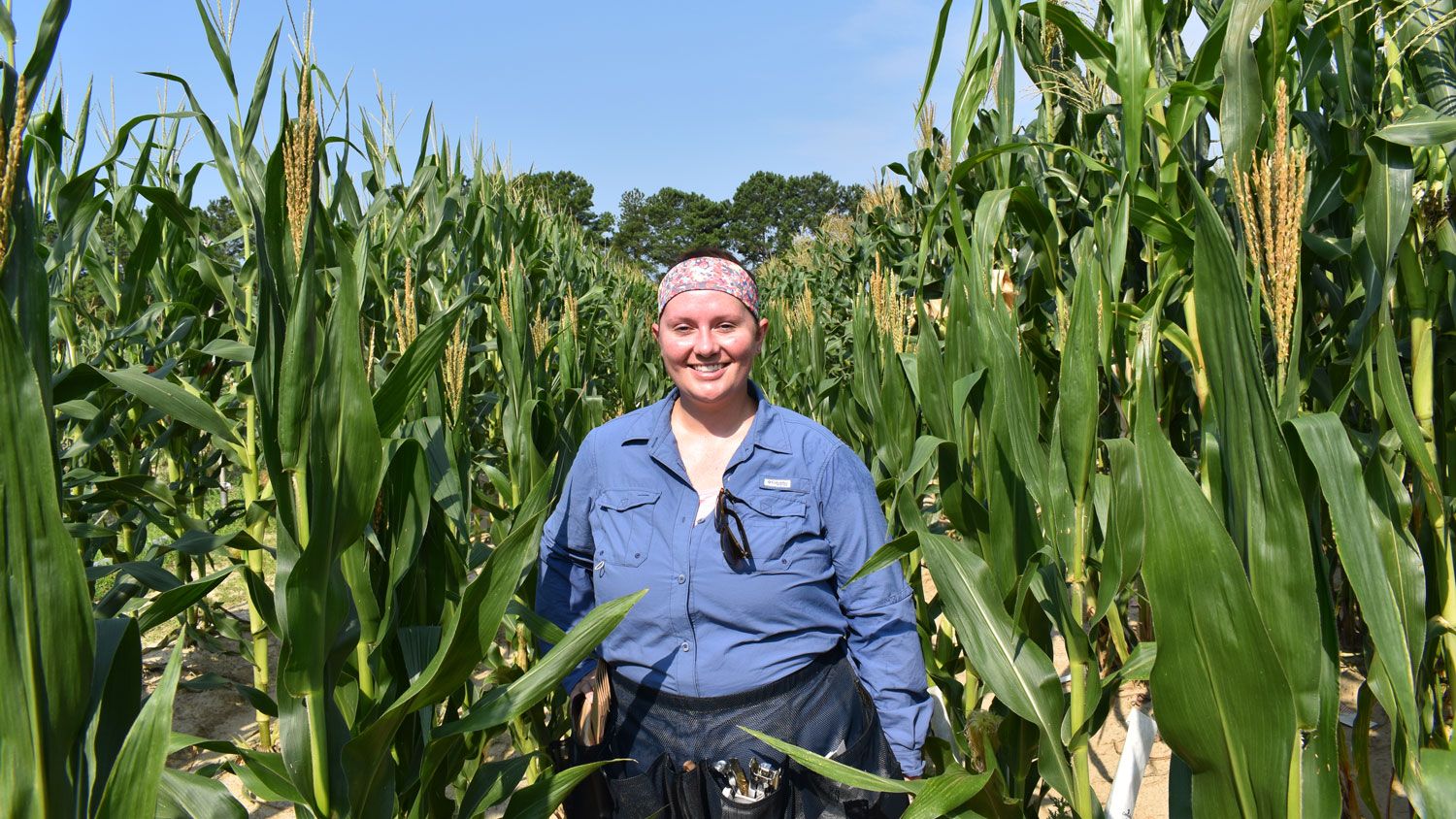 A young white woman in the middle of a maize field.