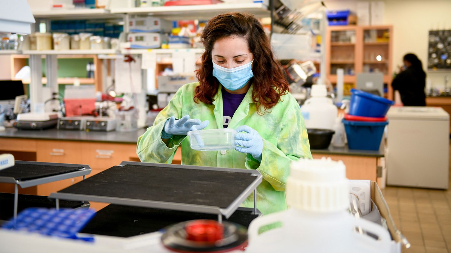 Biochemistry student in the lab.