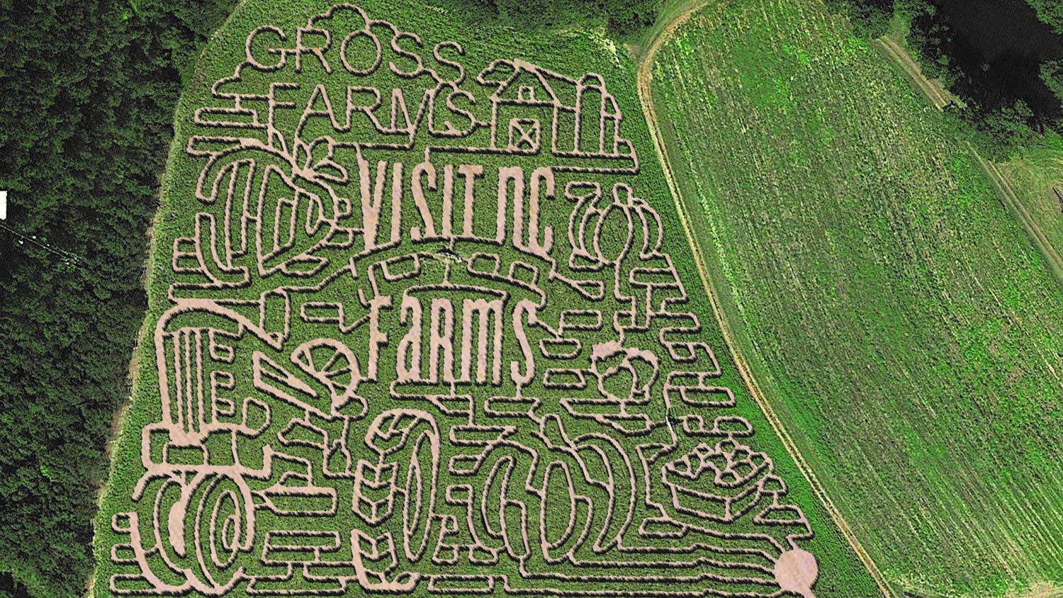 Aerial view of corn maze that says "Gross Farms" and "Visit NC Farms"
