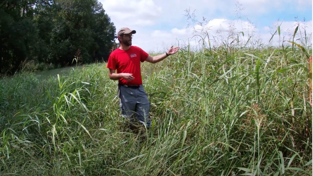 A man wearing a red t-shirt standing in a field of tall grass.