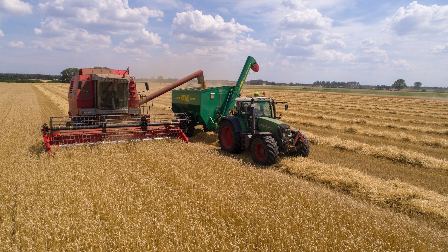 Tractor in a wheat field