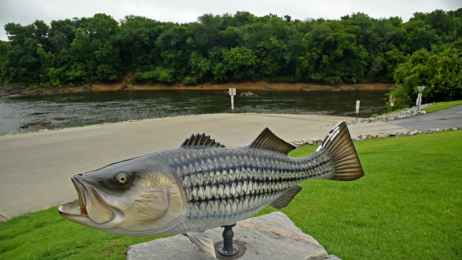 Fish statue at NC's Roanoke River Park