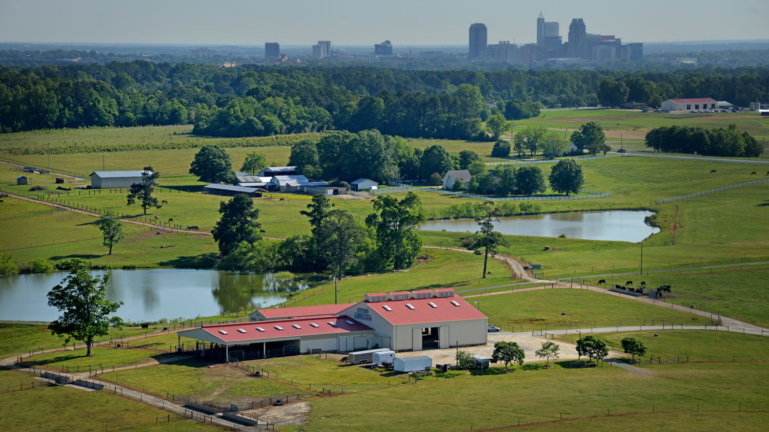 aerial view of farm with the Raleigh skyline in the background