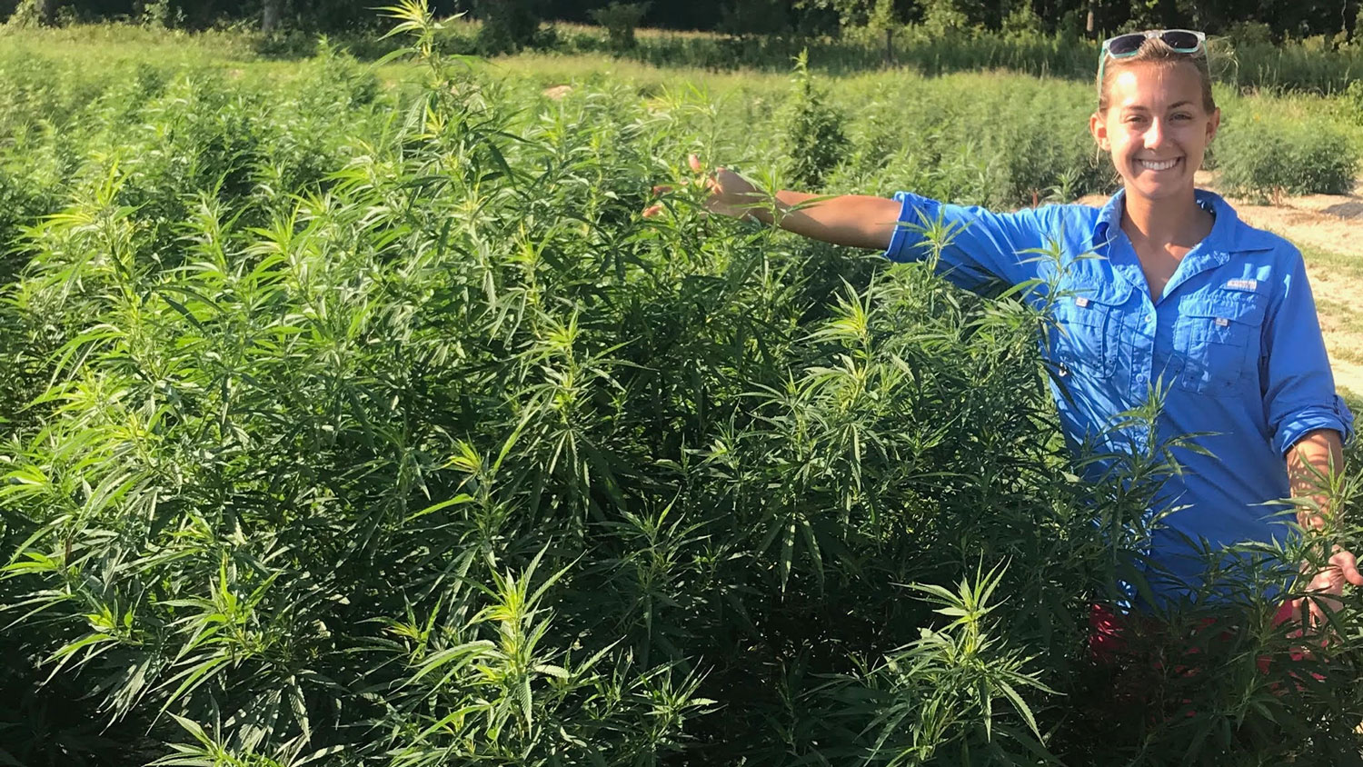 Maggie Short standing in a hemp field