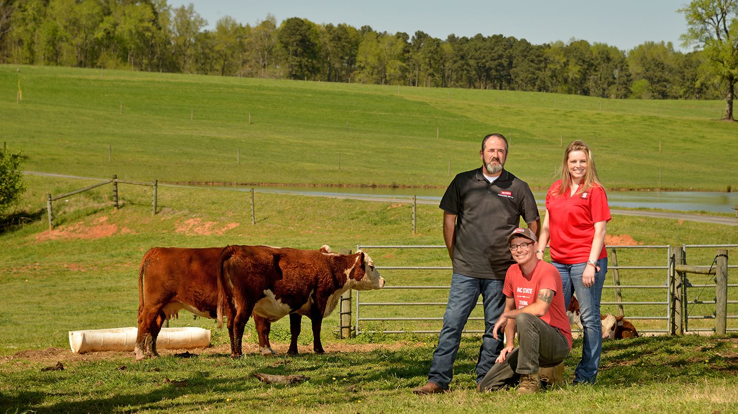 Three military veterans in a farm field with two cows