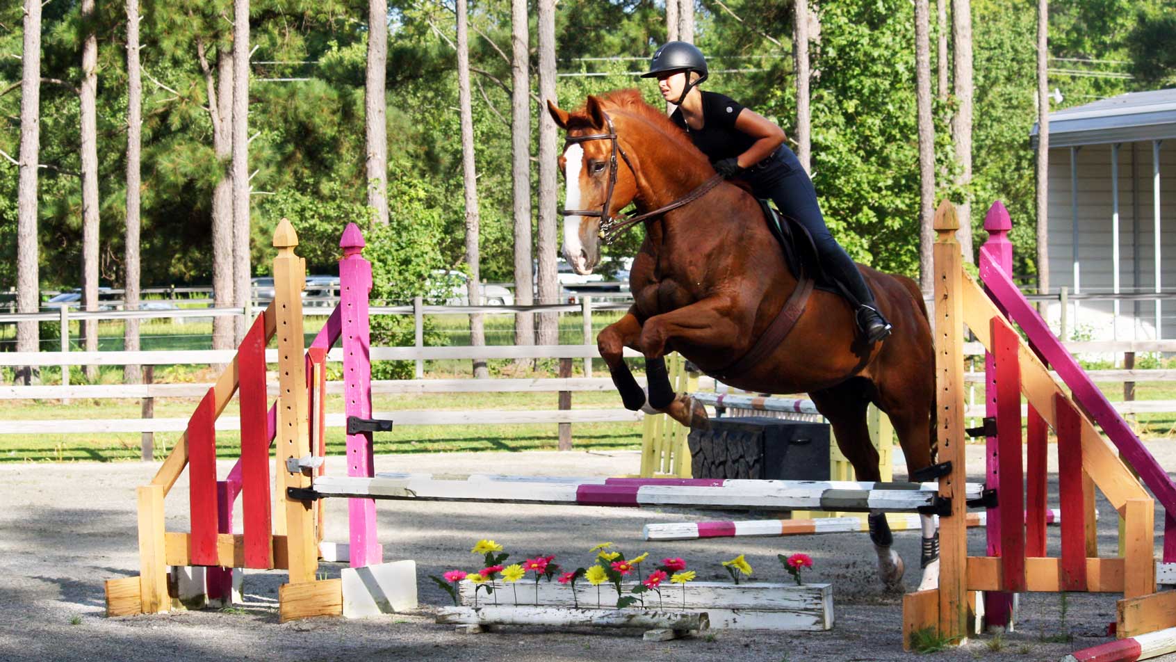 Horse and rider jumping