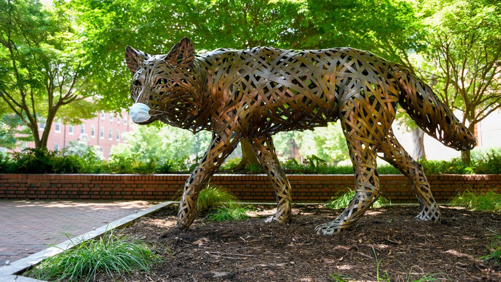 steel wolf on campus with mask on.